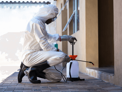 About Pest Control Experts - pest control services experts in California