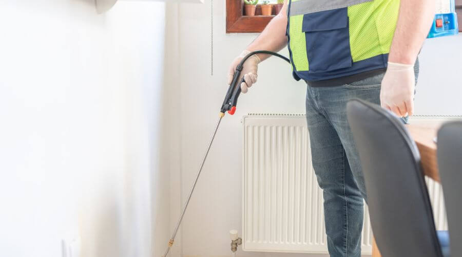 Professional pest control services services in California